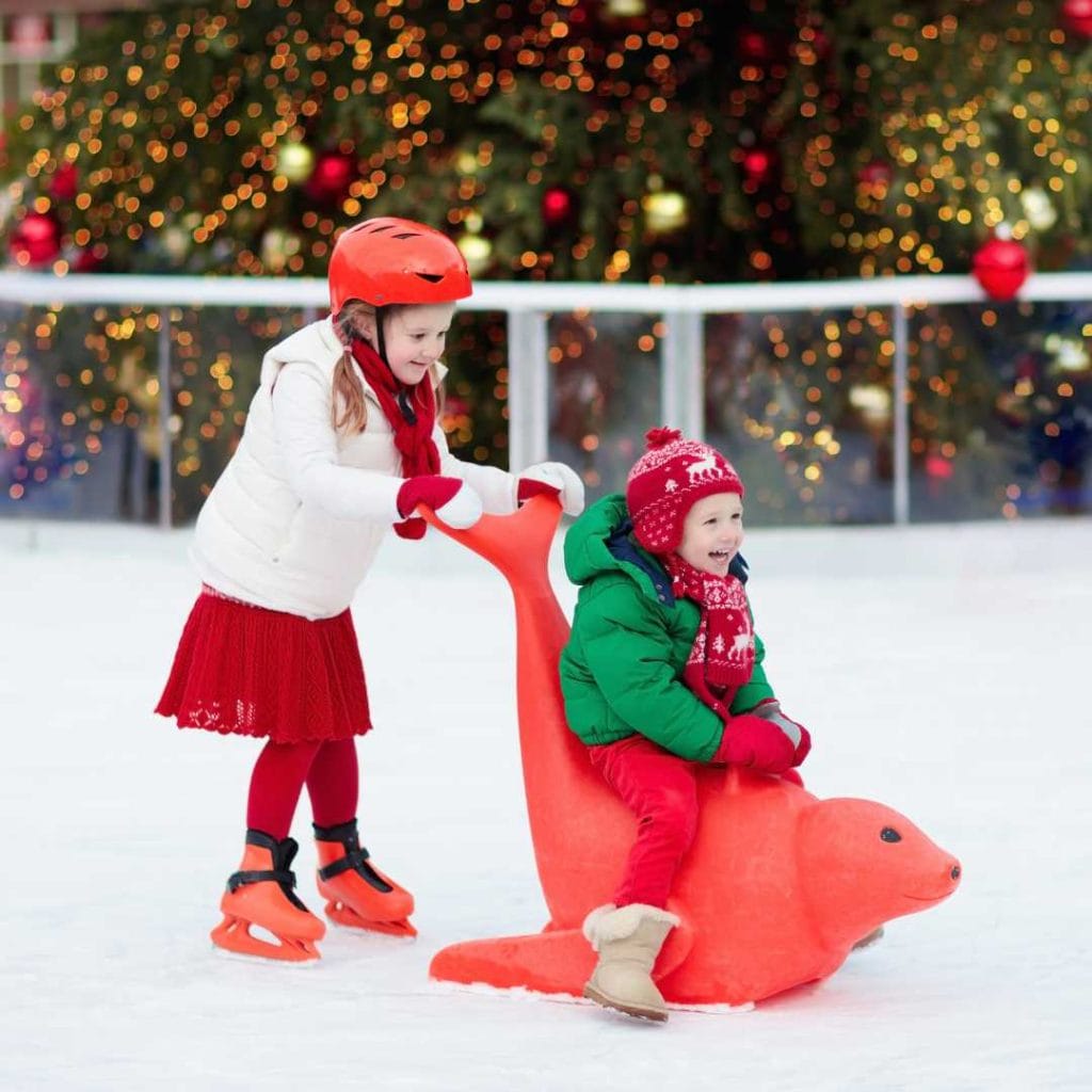 alat bantu bermain ice skating bentuk seal